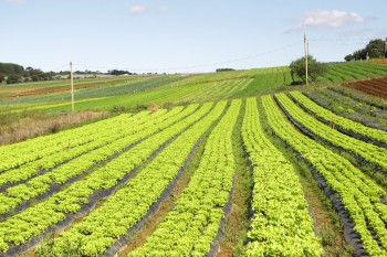 Produtores podem cadastrar propriedades no programa 'Rotas Rurais'