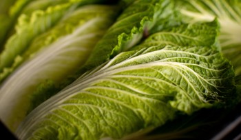 Mogi realiza evento da Cadeia Produtiva das Hortaliças neste sábado (19) 