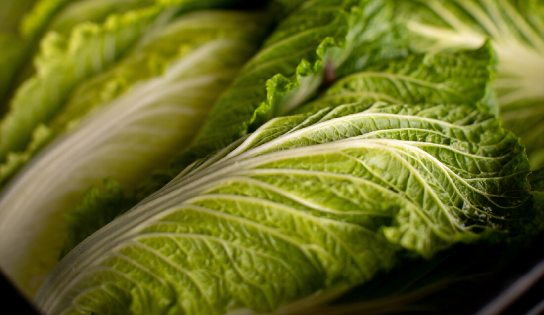 Mogi realiza evento da Cadeia Produtiva das Hortaliças neste sábado (19) 