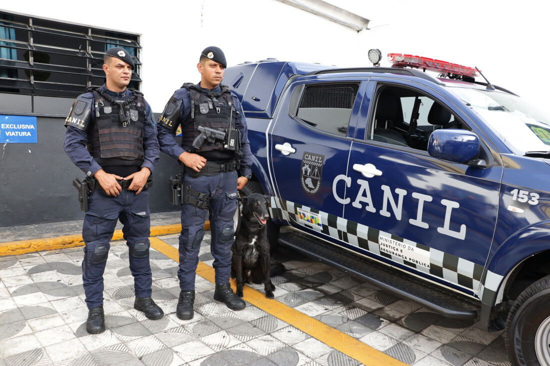 Canil da GCM recupera van roubada durante sequestro e prende suspeito em Suzano