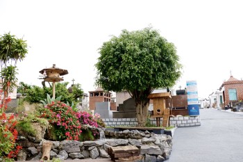 Mais de 170 mil pessoas devem passar por cemitérios da região no Dia de Finados