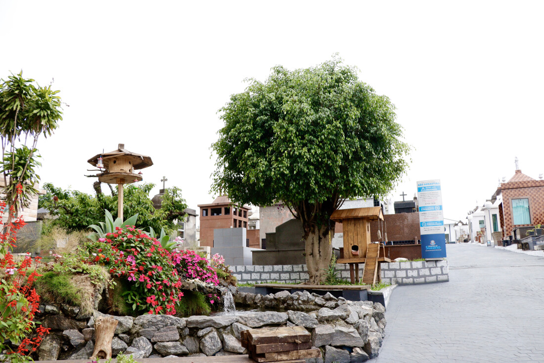 Mais de 170 mil pessoas devem passar por cemitérios da região no Dia de Finados