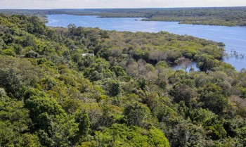Desmatamento na Amazônia cai 30,6% com menor área desmatada desde 2013
