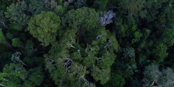 Na COP27, Brasil lista ações de sustentabilidade dos últimos 4 anos