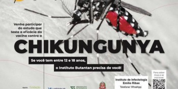 Instituto recruta voluntários para teste de vacina contra chikungunya