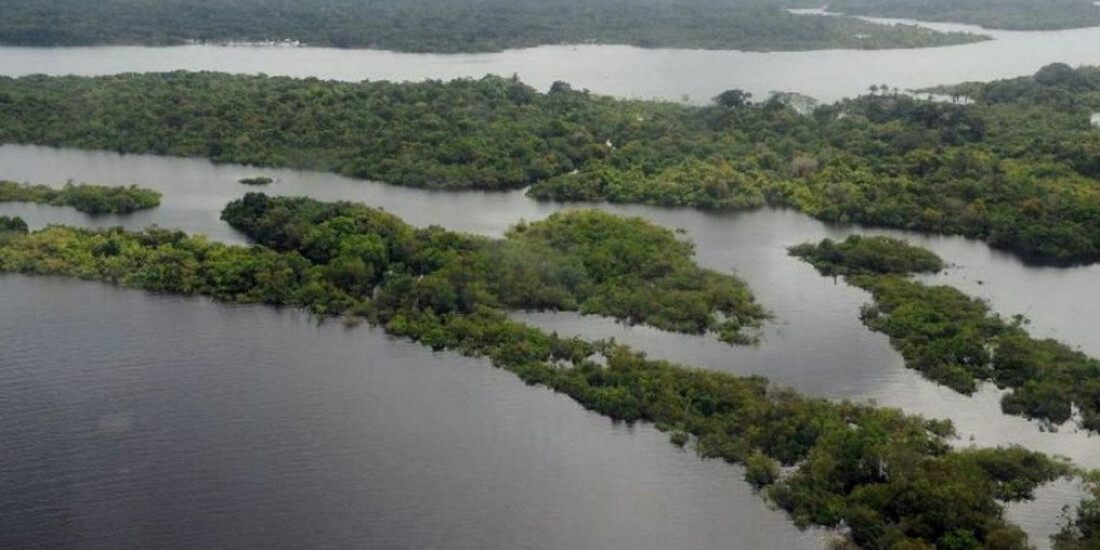 Preservação da Amazônia é prioridade do governo eleito na COP27