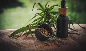 Segunda edição da ExpoCannabis começa hoje em São Paulo