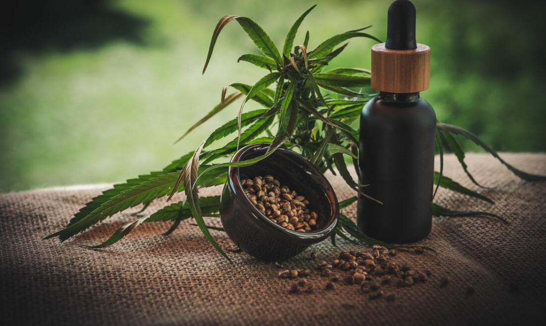 Segunda edição da ExpoCannabis começa hoje em São Paulo