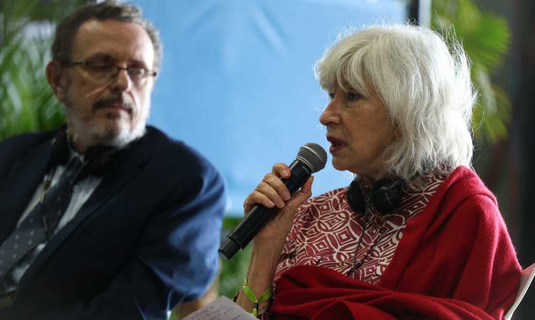 Negociadora de Acordo de Paris diz que eleição de Trump é desafio