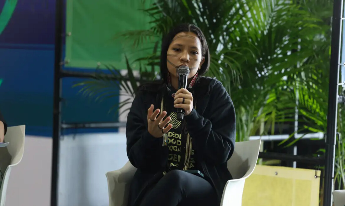 Indígenas cobram demarcações para avançar em transição ecológica