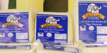 Queijo de búfala é atração gastronômica de Marajó
