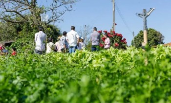 Sebrae-SP Alto Tietê realizará "Encontro de Agronegócios" em Mogi das Cruzes  