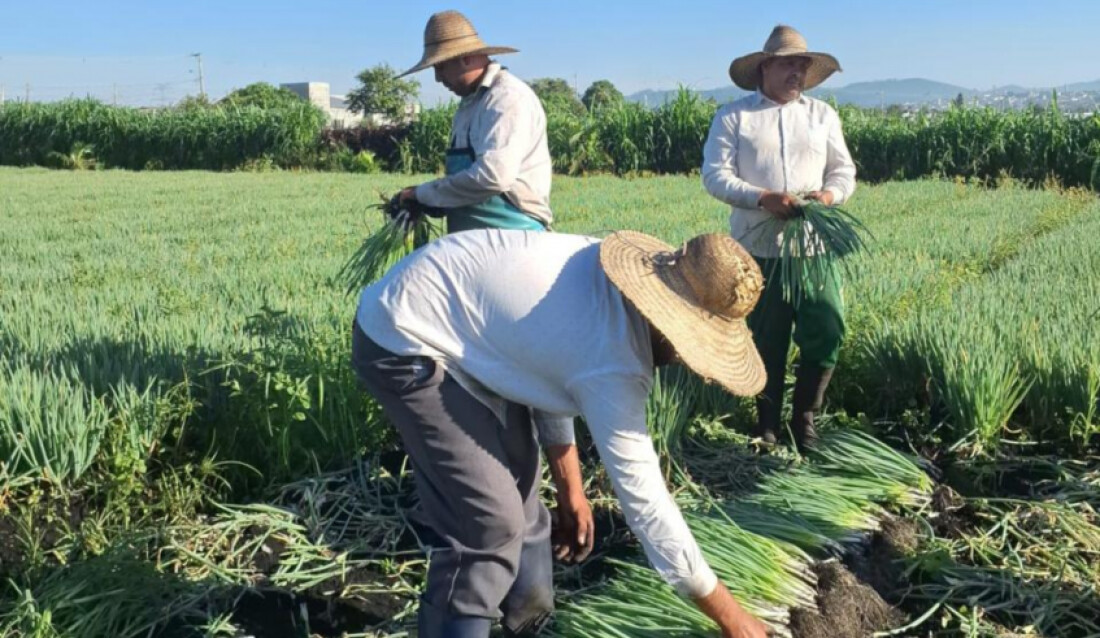 Mogi terá o I Encontro de Agronegócios do Alto Tietê no dia 10 de dezembro