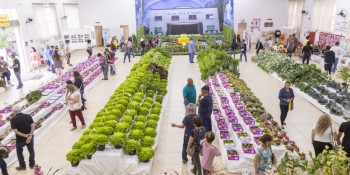 Programa Quitanda Social participa de exposição