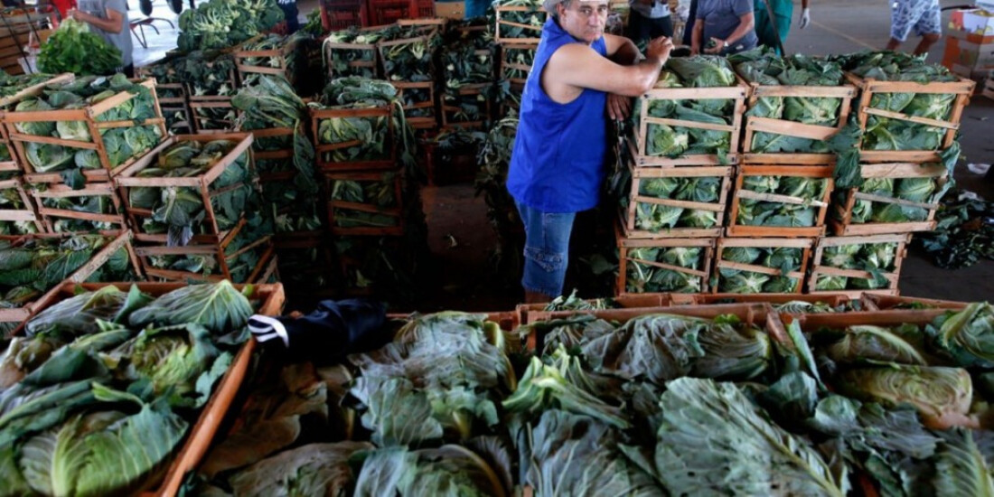 Leilão de privatização da CeasaMinas ocorrerá em 22 de dezembro