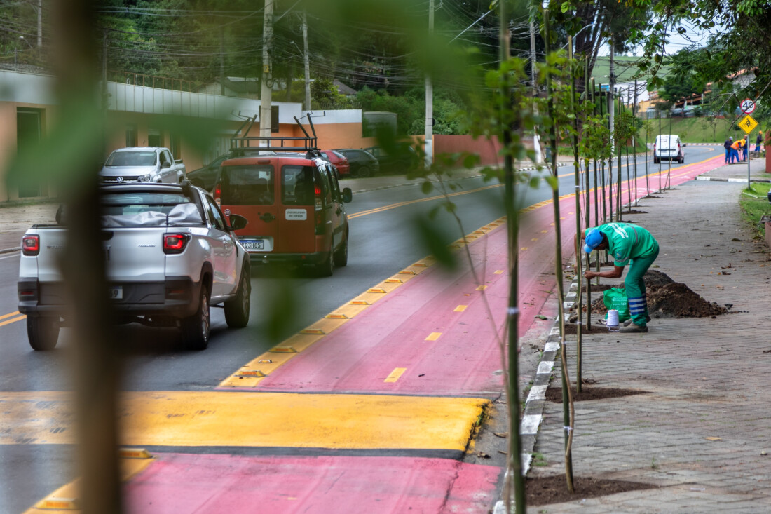 Prefeitura de Guararema planta mais de 90 árvores ao longo de ciclovia