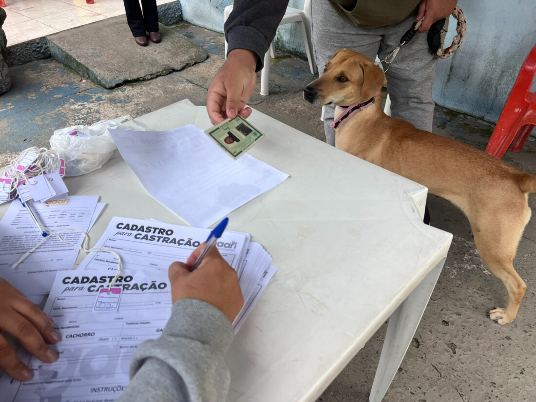 Poá terá ações do Dezembro Verde nesta sexta (13)