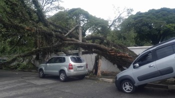 EDP reforça equipes no Alto Tietê após temporal