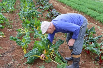 Atenção ao produtor e pioneirismo marcam agricultura de Suzano