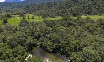 Meio Ambiente abre consulta para plano de prevenção na Mata Atlântica