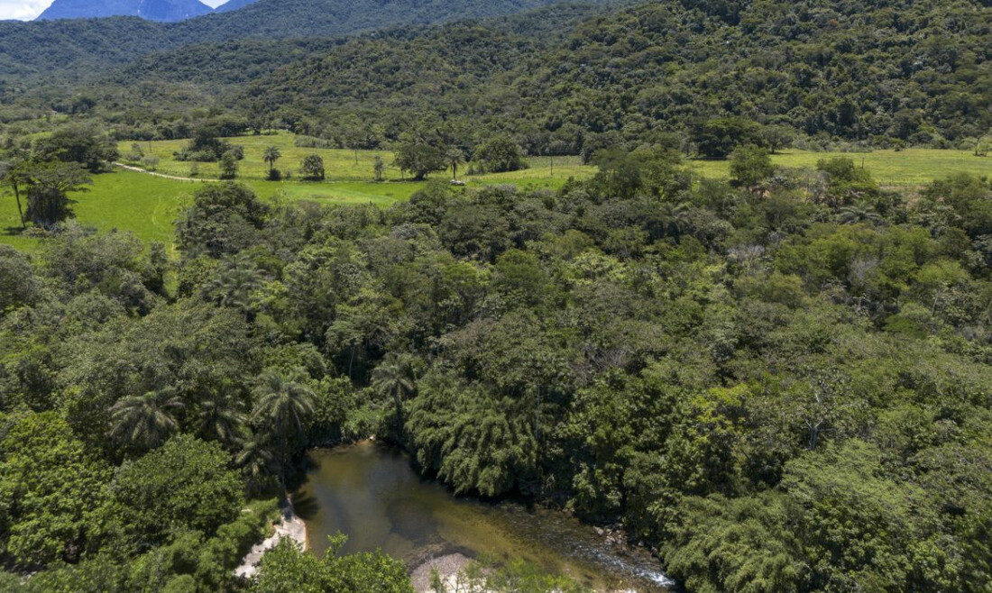 Meio Ambiente abre consulta para plano de prevenção na Mata Atlântica