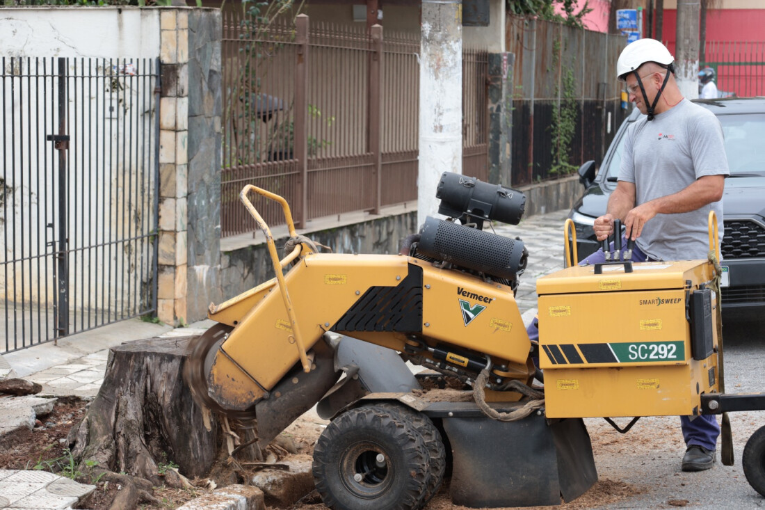 Manutenção de Suzano retira 72 tocos de árvores das calçadas em duas semanas