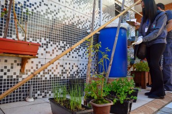 Zoonoses de Suzano reforça atenção para o combate ao Aedes aegypti