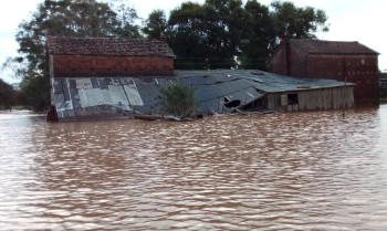 Chuvas no RS: governo liberou R$ 2,5 bilhões para agricultura familiar