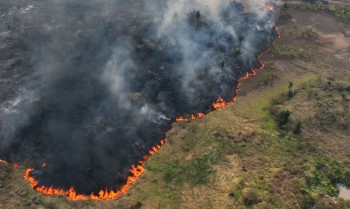 TV Brasil reexibe programa premiado sobre emergência climática