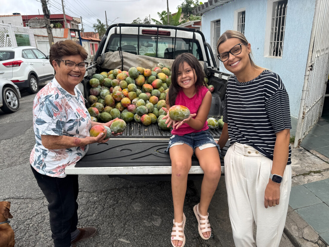 Fundo Social de Mogi doa 5 toneladas de mangas à entidades, lideranças e associações