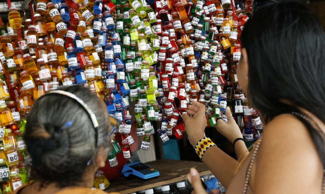 Empresários da Amazônia buscam protagonismo na COP30