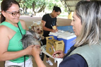 Poá inicia Campanha de Vacinação Antirrábica nesta quarta-feira 