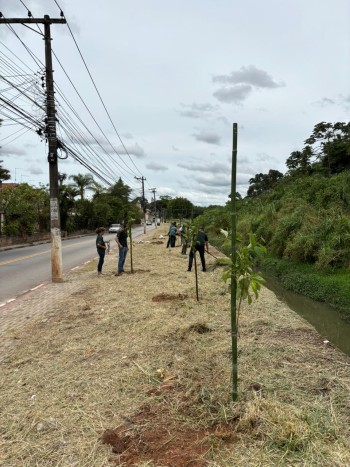 Prefeitura realiza plantio de mudas de árvores nativas no Jardim Nova Poá