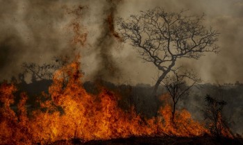 Pesquisadora alerta que crise climática amplifica outras crises