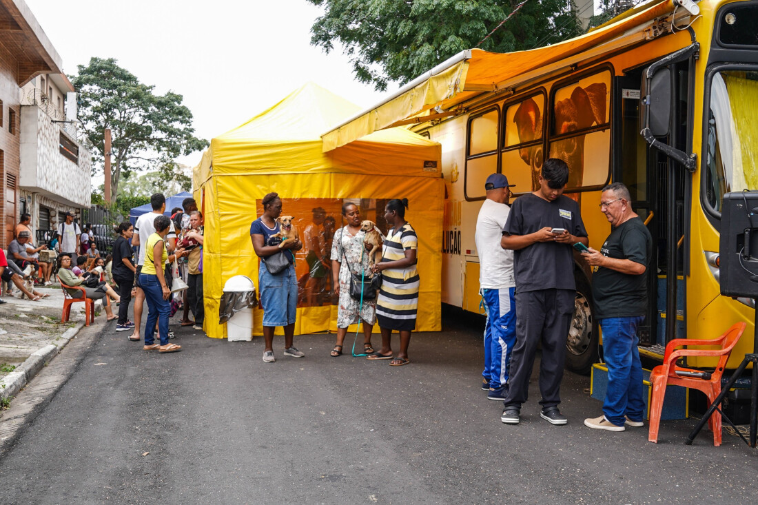 Ferraz promove primeiro mutirão de castração gratuita em 2025