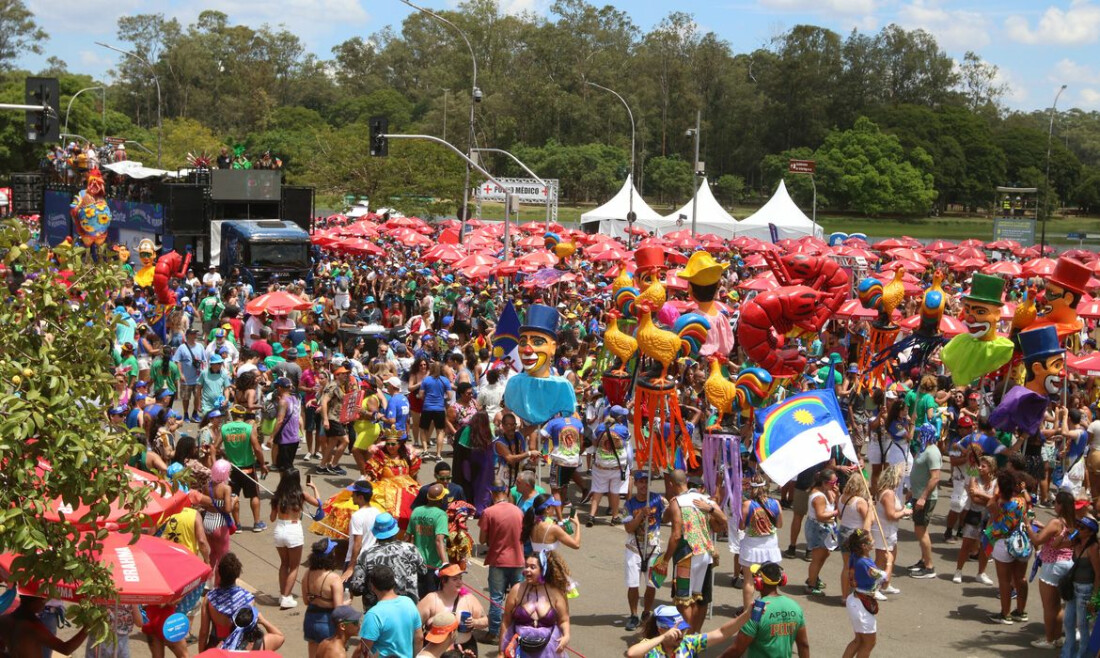 Carnaval paulistano terá mais de 800 desfiles oficiais de blocos