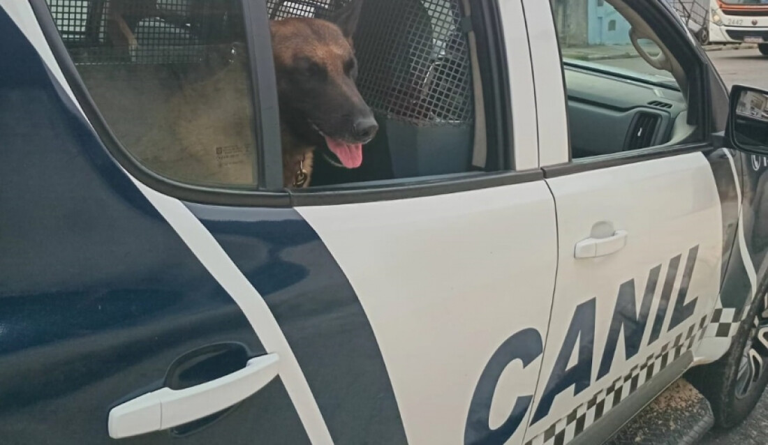 Guarda Civil de Mogi recupera moto e impede soltura de balão