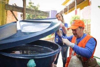 Quem teve dengue uma vez pode contrair novamente? Esclareça suas dúvidas 