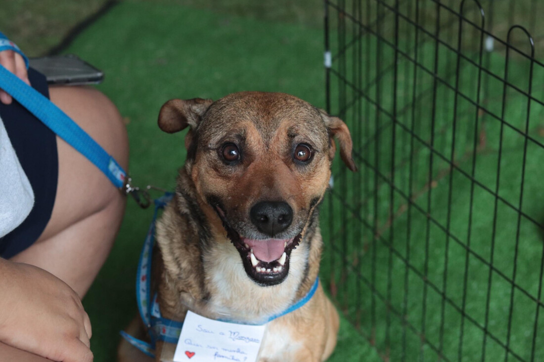 ‘Baby, me Leva!’ terá edições presenciais em todos os finais de semana de fevereiro