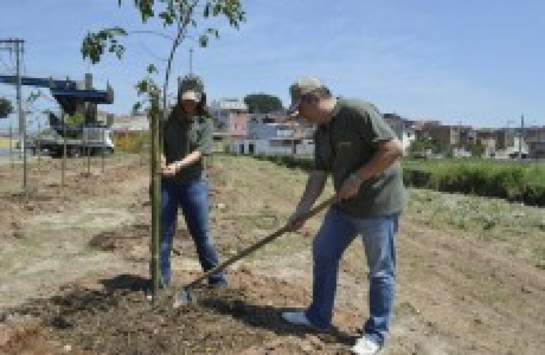 Prefeitura solicitará selo verde azul