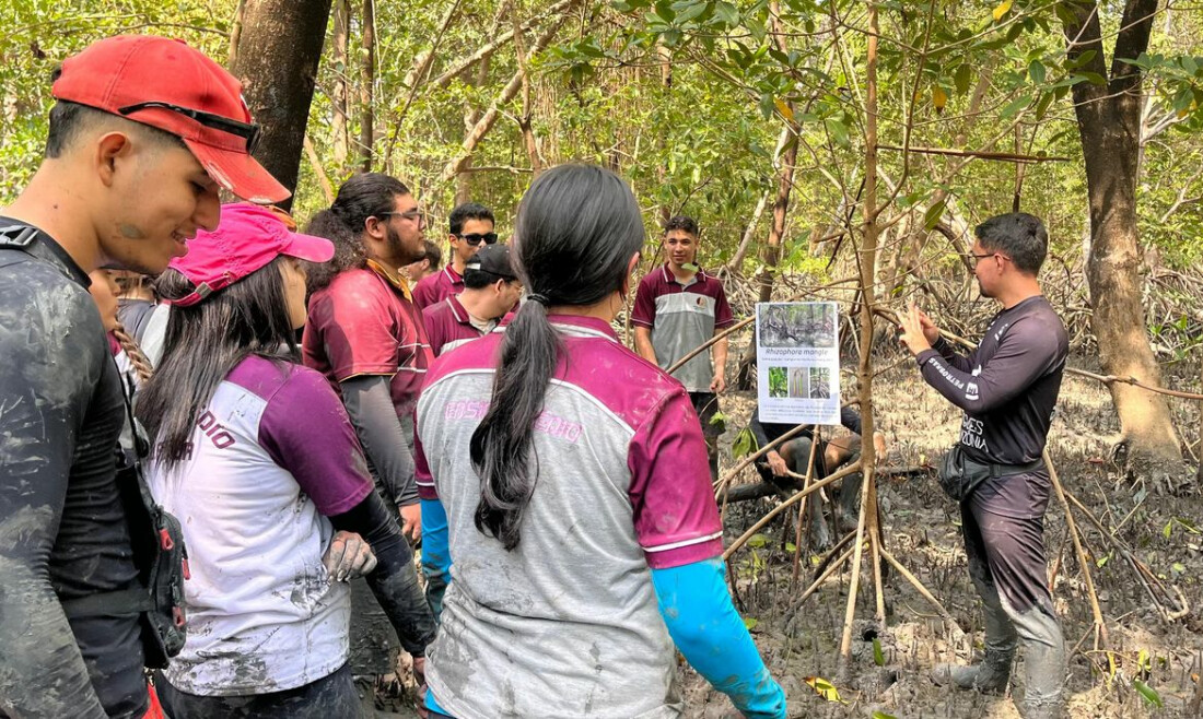 Educação ambiental aproxima estudantes do maior manguezal do planeta