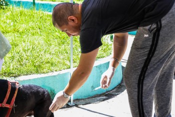 Unidades Básicas de Saúde terão vacinação antirrábica em Ferraz 