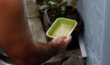 Primeira morte por dengue neste ano é confirmada na cidade de SP