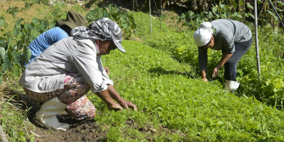 Alto Tietê avança na geração de emprego em 2,43%