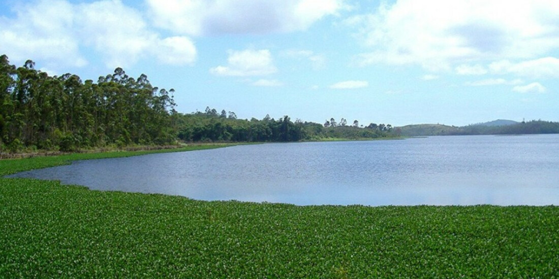 Três das cinco represas da região têm queda