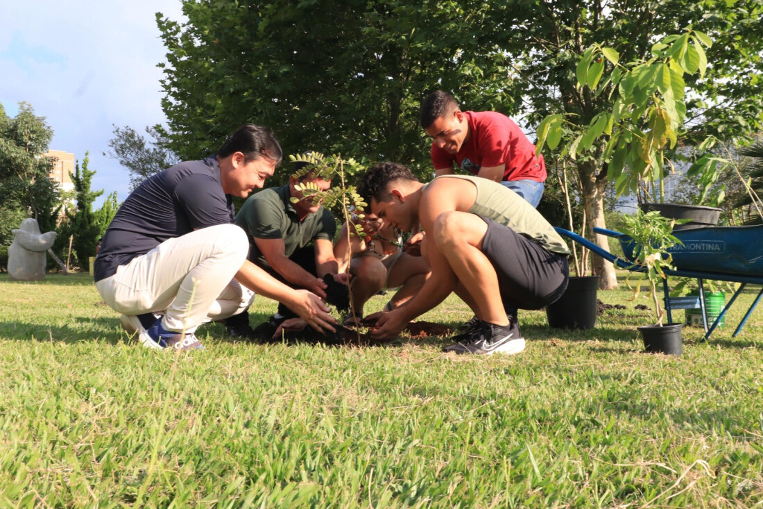 Projeto ‘Árvore FamiliAR’, em Suzano, incentiva participação em mutirão de plantio