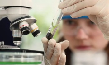 CNPq anuncia vencedoras do Prêmio Mulheres e Ciência