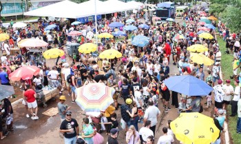 Carnaval 2025: confira a programação de blocos nesta terça em Brasília