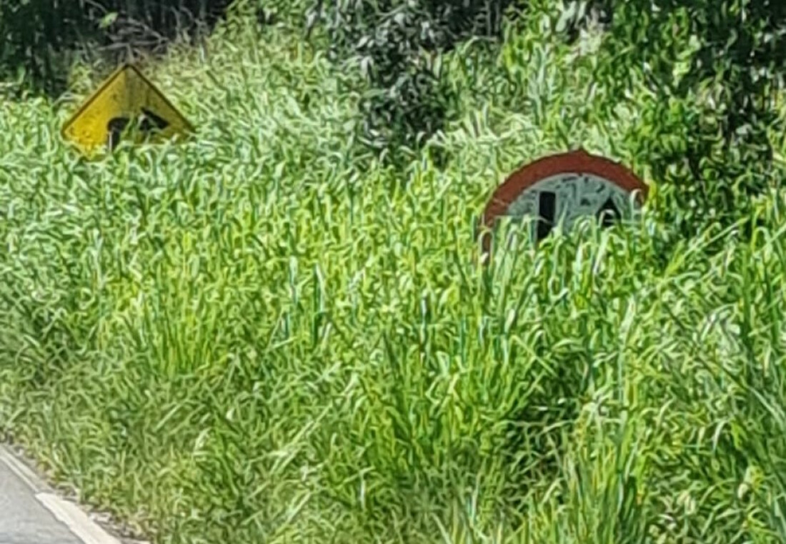 Falta de manutenção na Estrada do Nagao prejudica moradores 