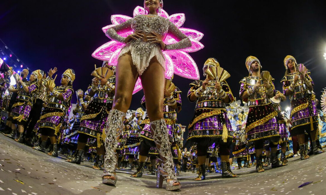 SP: desfile das campeãs será neste sábado; TV Brasil transmite ao vivo